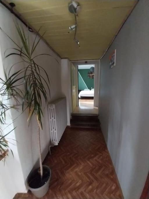 Maison En Pierres Pradinas 外观 照片