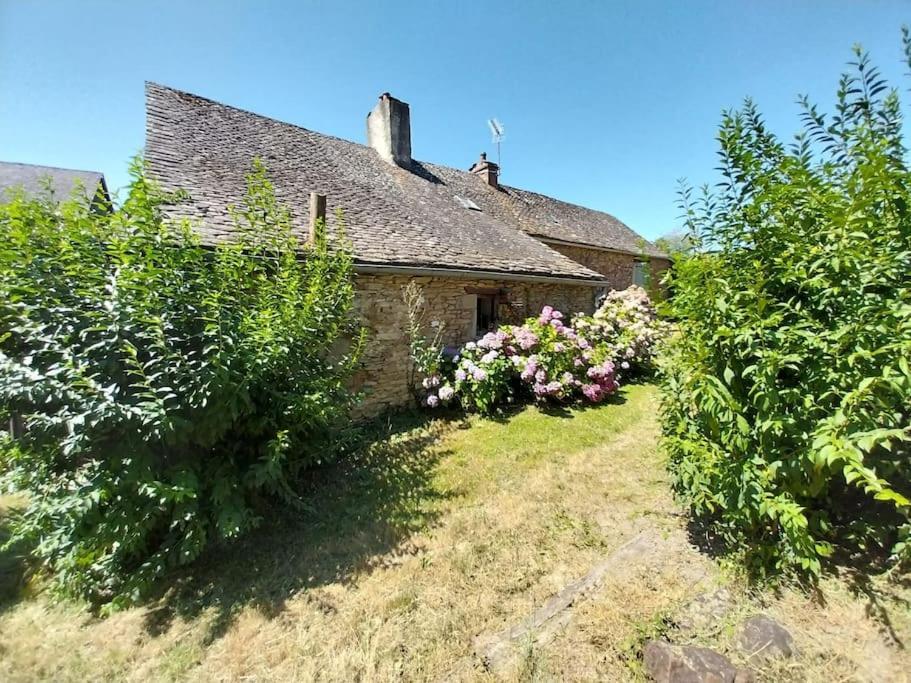Maison En Pierres Pradinas 外观 照片